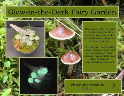 Glow-in-the-Dark Mushroom Terrarium