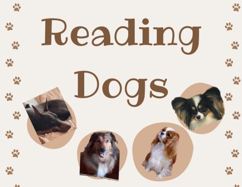 4 pictures of dogs  on neutral background, text reads "Reading Dogs"