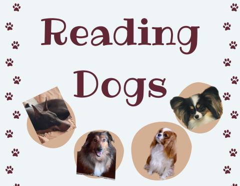 4 pictures of dogs  on neutral background, text reads "Reading Dogs"