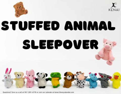 Black text reads: Stuffed Animal Sleepover. Pictures of a variety of small stuffed animals. 