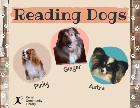 text: Reading Dogs ; image: photos of each dog available - Pinky (a king charles spaniel),, Ginger (collie), and Astra (papillon).