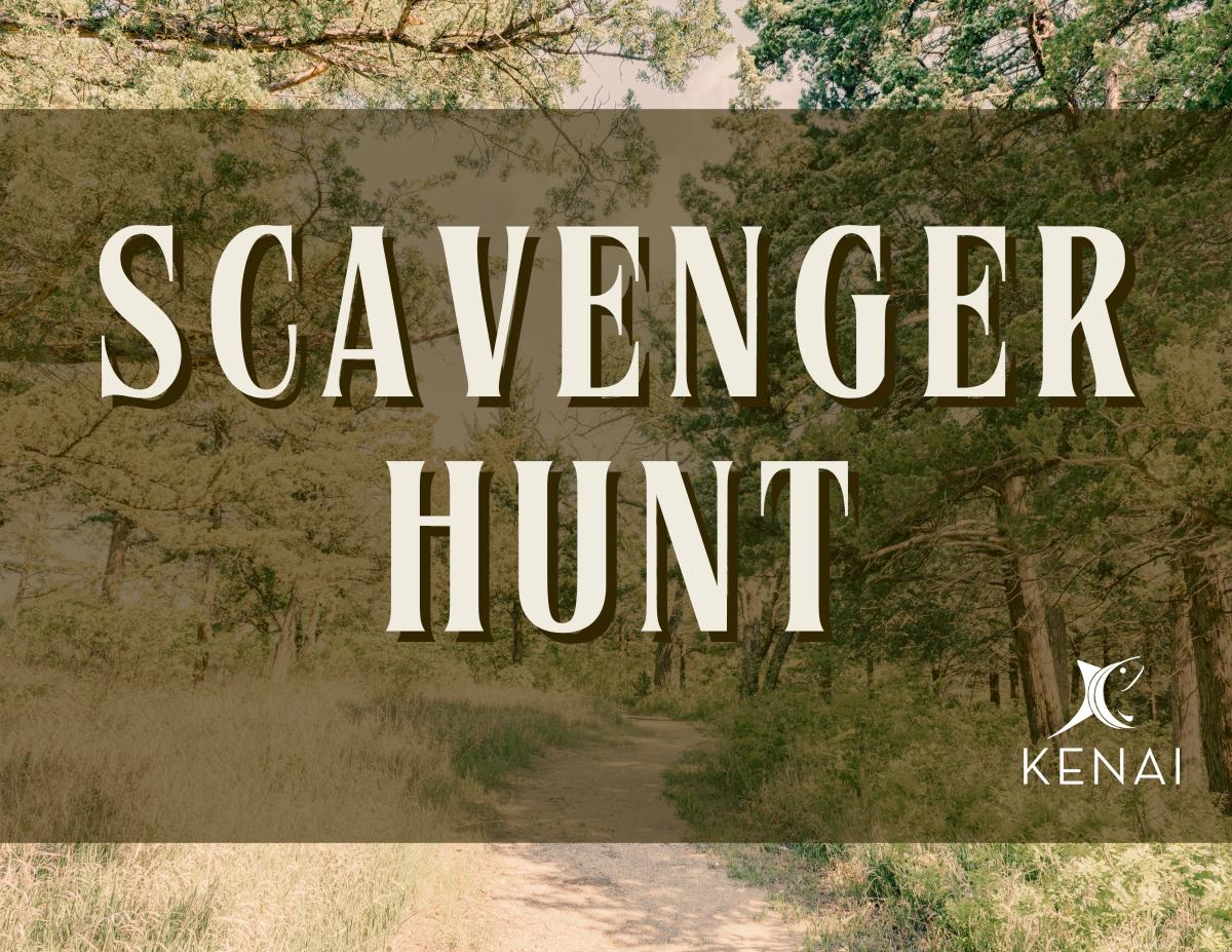Photo of trail leading through trees. Text reads "scavenger hunt."