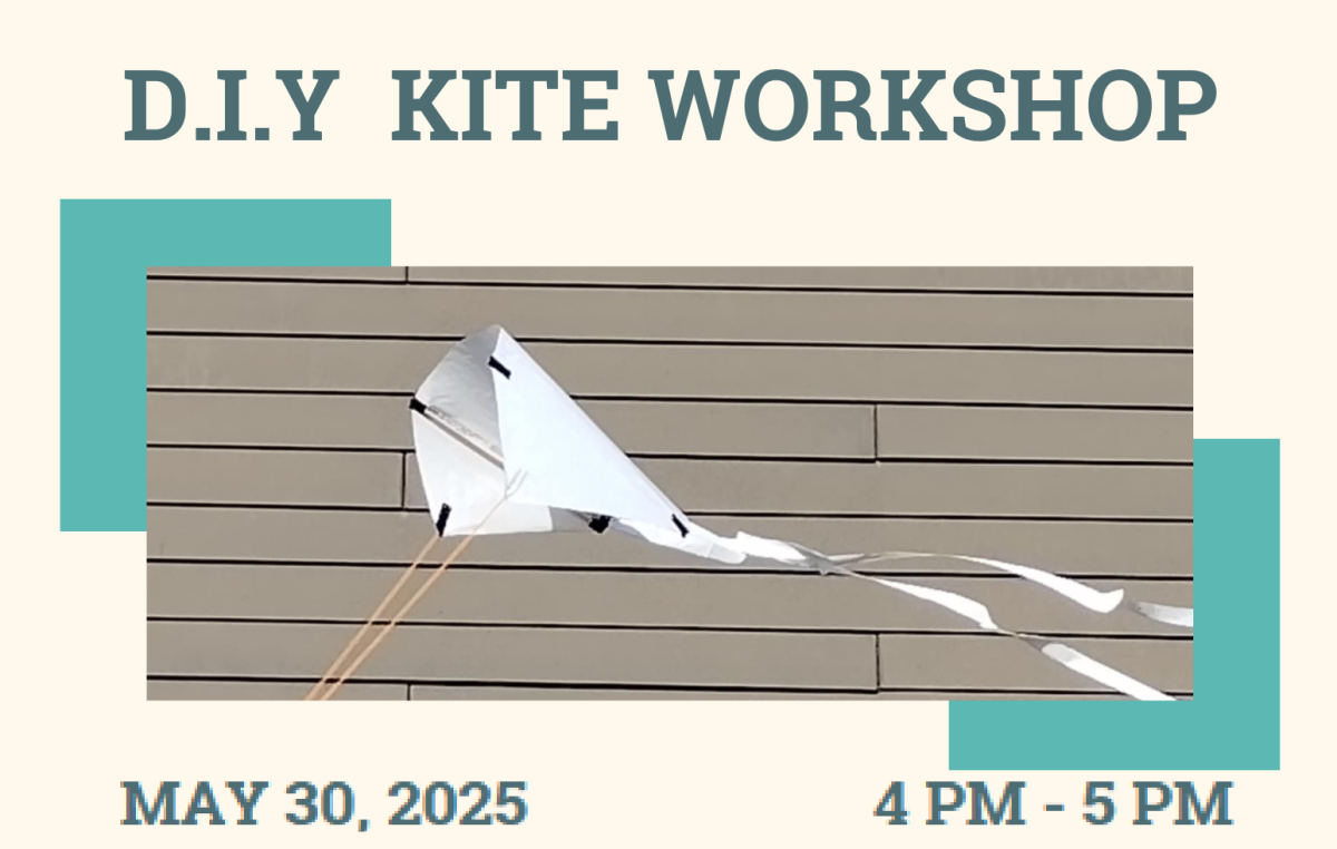 Kite Workshop - photo of kite we are building and date/time of workshop