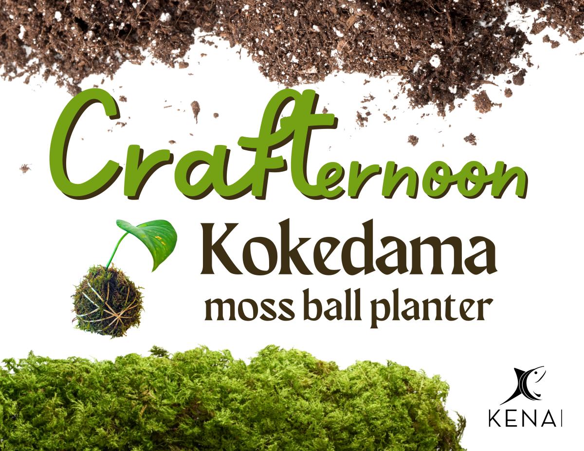 event flyer text reads: crafternoon kokedama moss ball planter