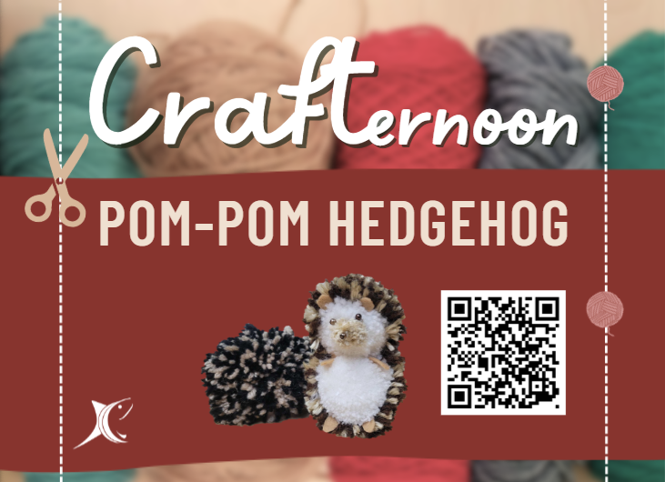 "Crafternoon Pom-Pom Hedgehog" and an image of the craft being made at the event